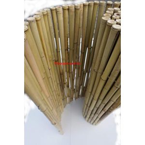 Bambuszaun poppe-portal Rollzaun, 24/26mm, H x 180cm