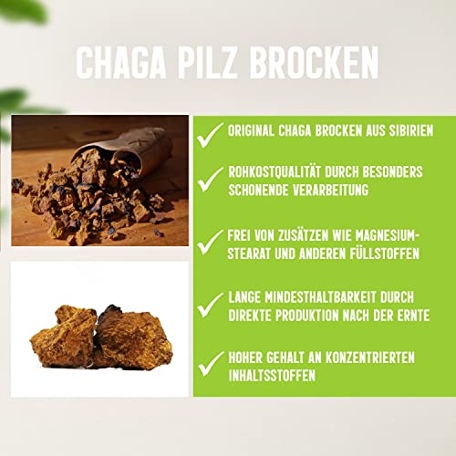 Chaga-Pilz Dorado Superfoods Chaga Pilz Brocken Stücke 100 g