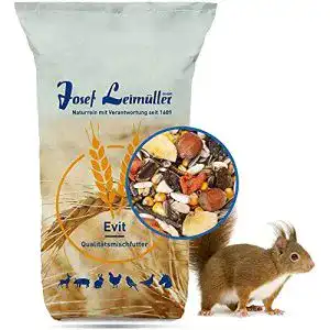 Eichhörnchen-Futter