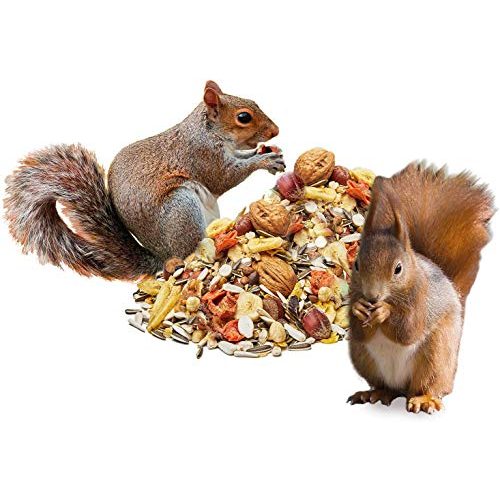 Eichhörnchen-Futter Pauls Mühle Paul´s Mühle Gourmet 1 kg