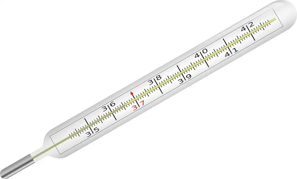 Fieberthermometer