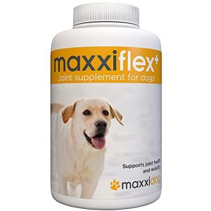 Gelenktabletten für Hunde maxxipaws maxxiflex+, 120 Stück