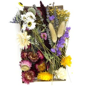 Getrocknete Blumen Kunstharz.Art Echte & natürliche