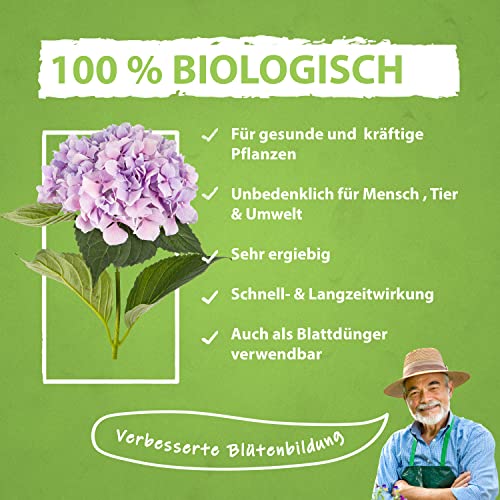 Hortensiendünger Flora Boost Hortensien Dünger flüssig, 1000 ml