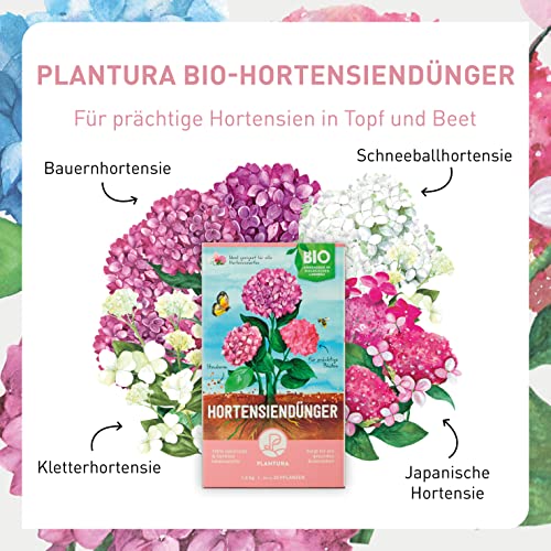 Hortensiendünger Plantura Bio mit 3 Monaten Langzeitwirkung