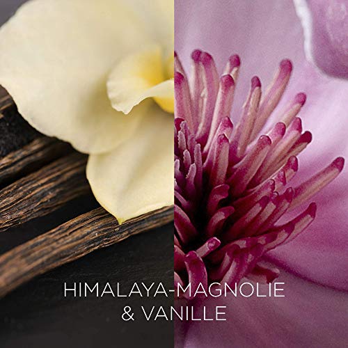 Kerzen im Glas Botanica by Air Wick 6x Himalaya-Magnolie Vanille