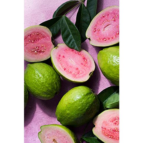 Korres-Duschgel Korres Guava Revitalisierend mit Aloe-Vera