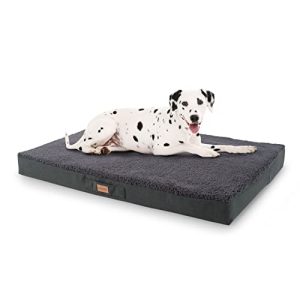 Orthopedic dog bed brunolie Balu dog bed in grey