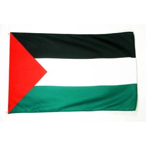 Palästina-Flagge AZ FLAG Flagge PALÄSTINA 90x60cm