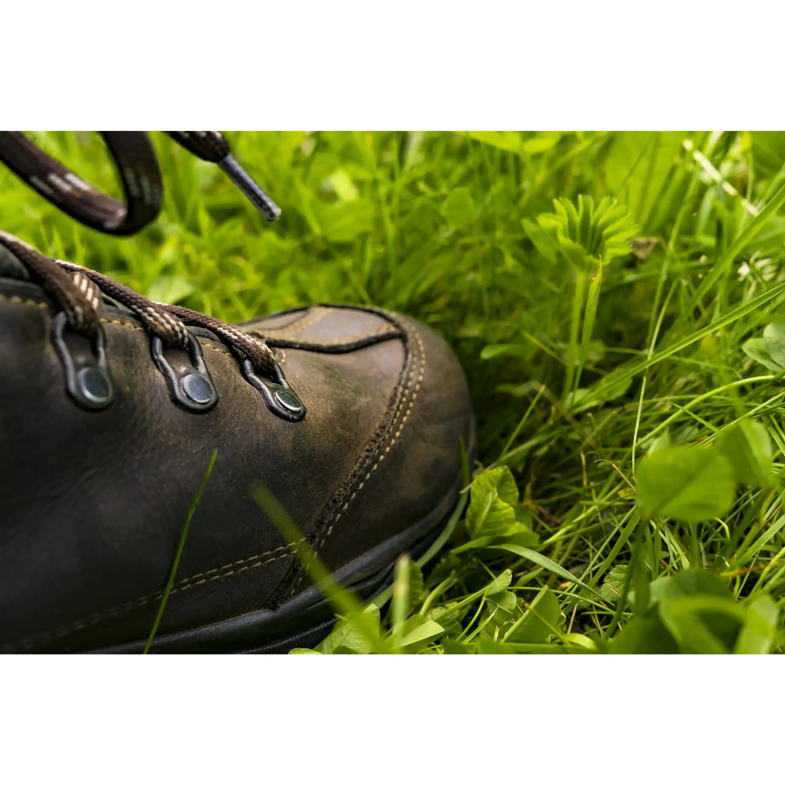 Bergschuhe Bergschuhe