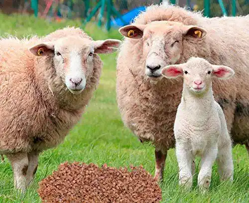 Schafwolldünger Samen-Gernand Dünge Pellets 1 kg