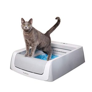 Self-cleaning litter box
