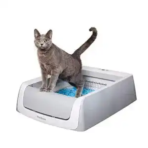 Die beste Selbstreinigendes Katzenklo 2026 Test Bestseller Selbstreinigendes Katzenklo