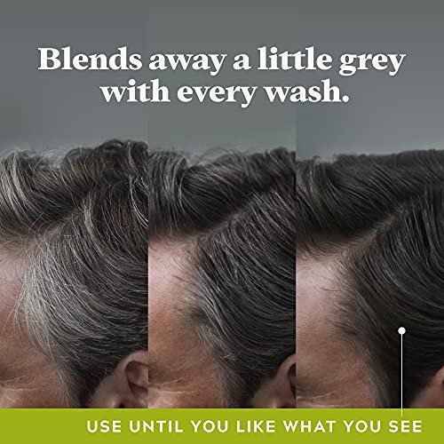 Shampoo gegen graue Haare Just for men ControlGX grau 147ml