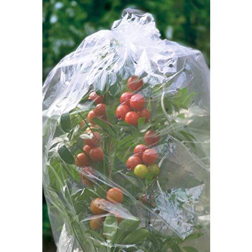 Tomatenhaube Connex Tomatenfolien-Haube 10 x 0,65 m
