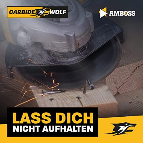 Trennscheibe Amboss Werkzeuge Amboss Carbide Wolf Ø 230mm