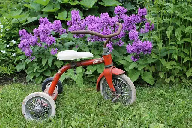 Kinderfahrrad