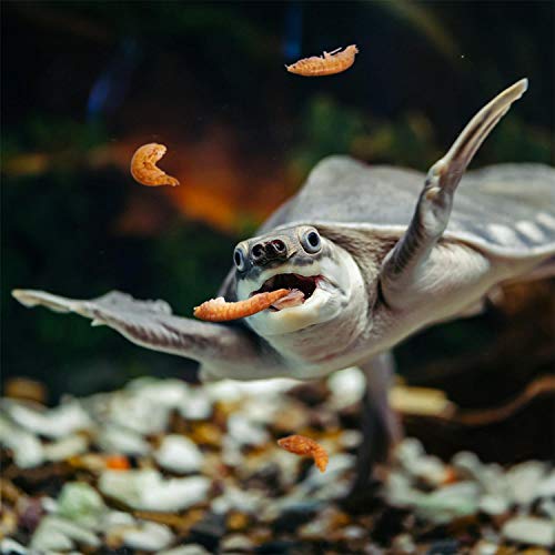 Wasserschildkrötenfutter Nobleza, aus Flussgarnelen 80g