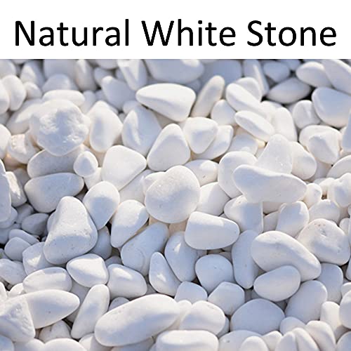 Weiße Kieselsteine Gexmile Naturstein Marmorkies 20-40mm 1kg