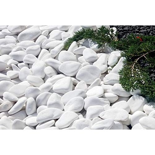 Weiße Kieselsteine VELLES Kleine Steine 20-40 mm