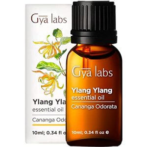 Ylang-Ylang-öl Gya Labs Ätherisch Stresslinderung (10ml)