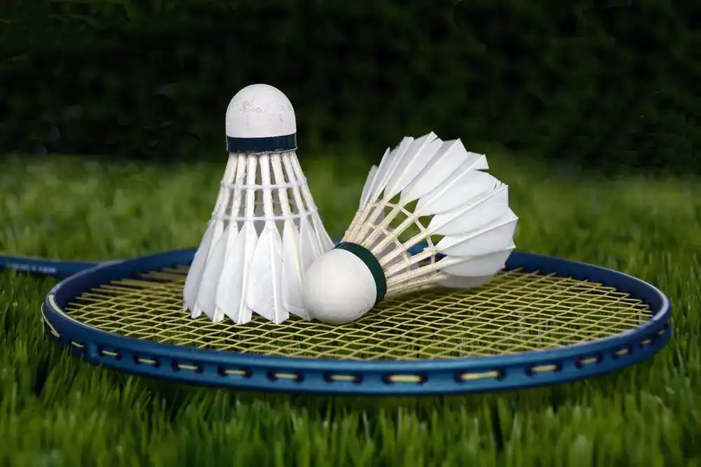 Badmintonschläger Badmintonschläger