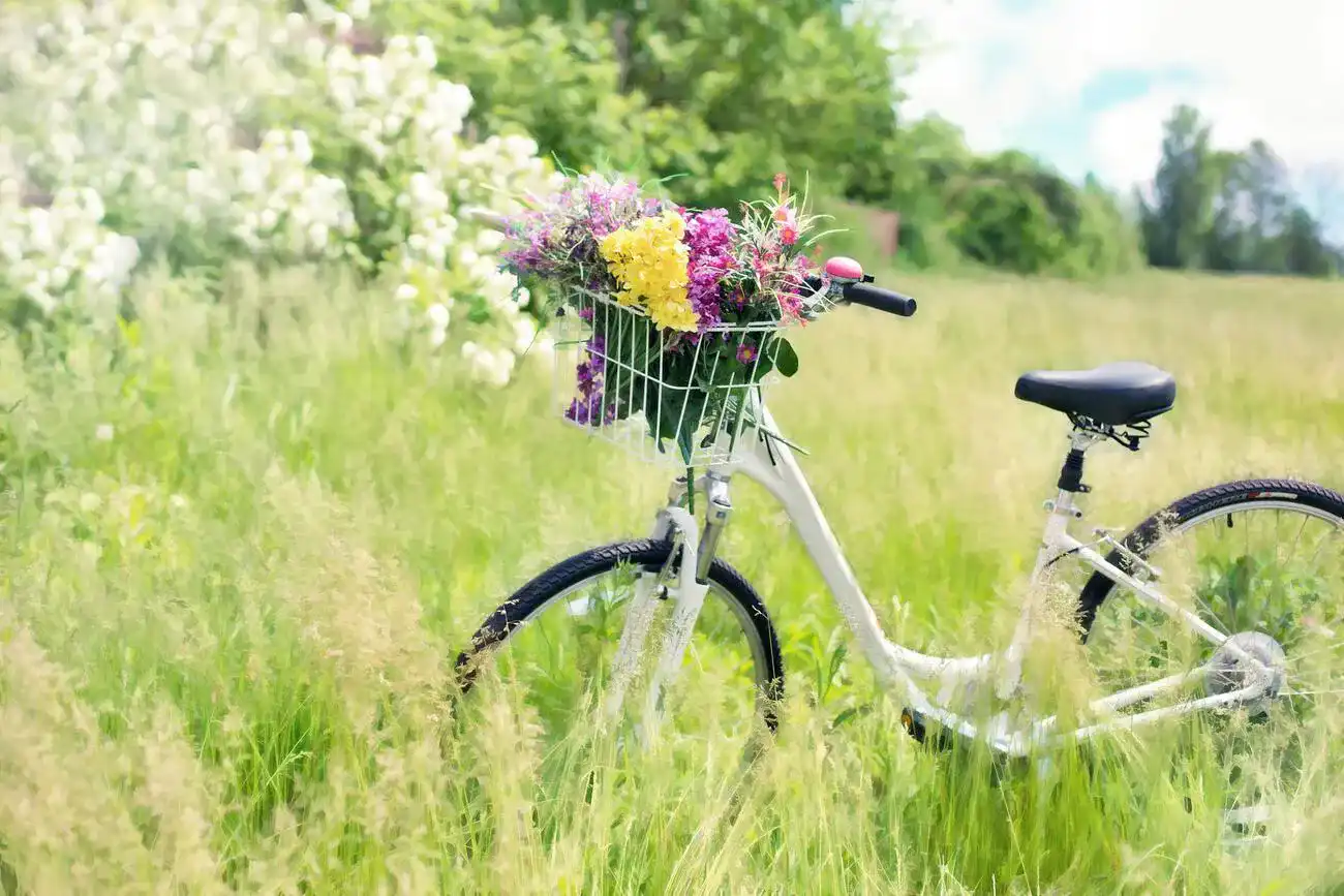 Fahrrad Fahrrad