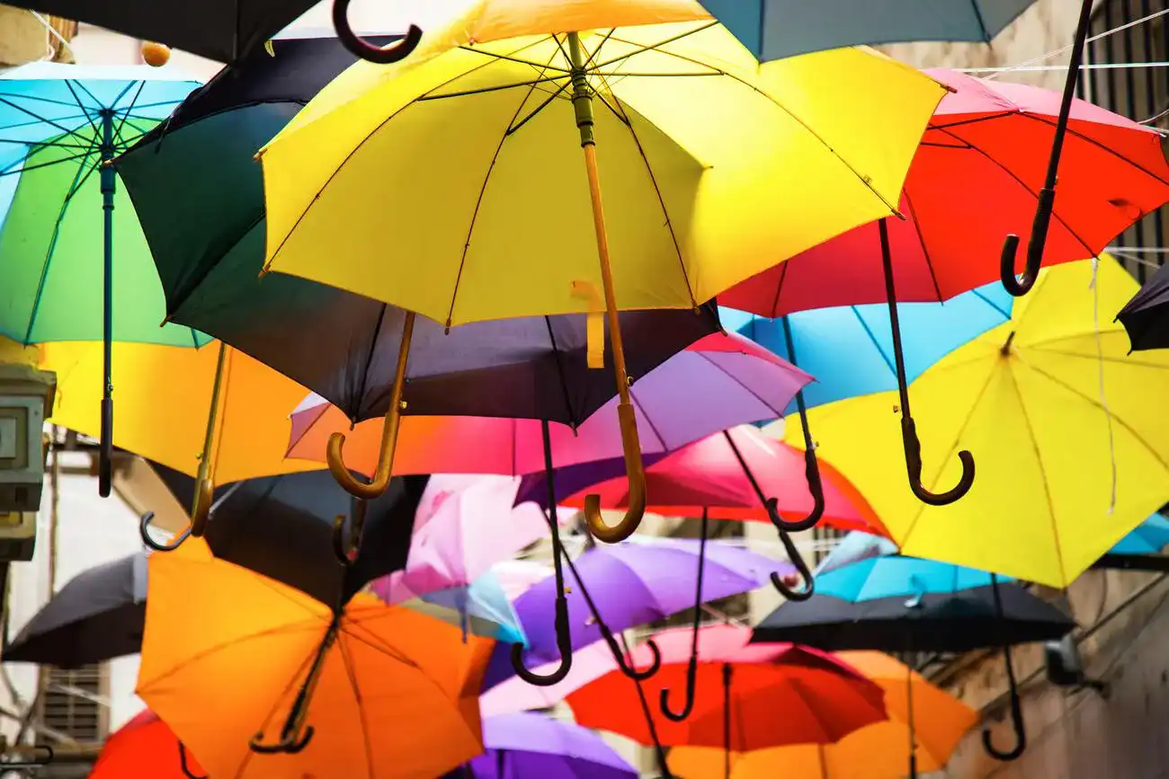 Regenschirm