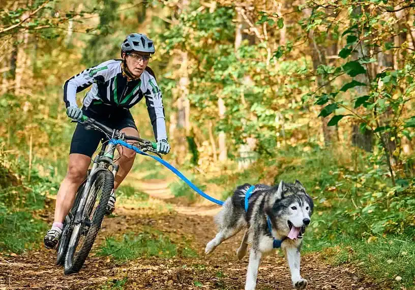 Crossbike