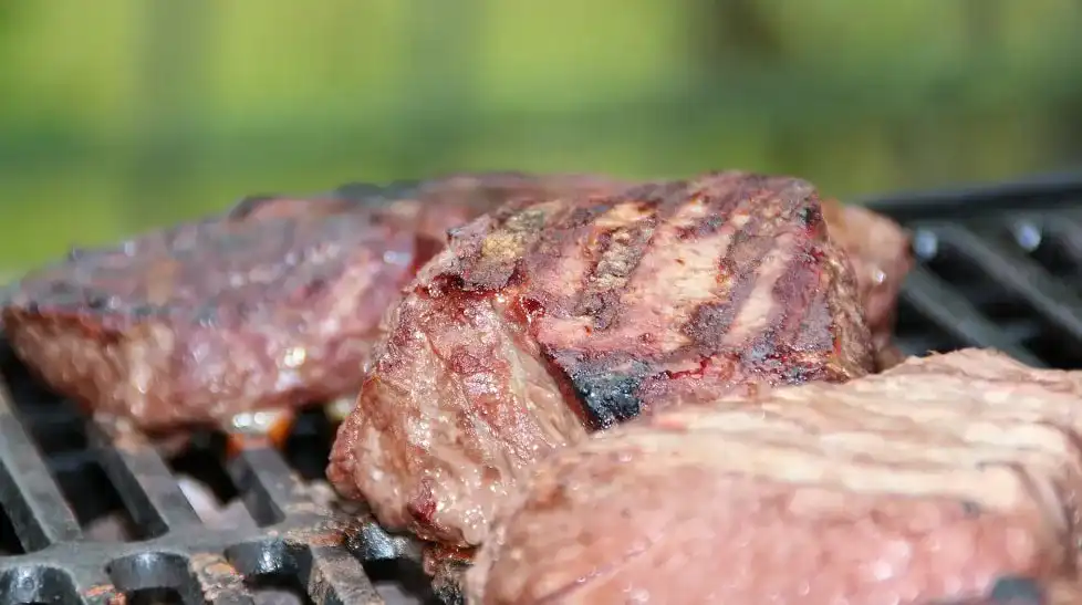 Enders-Gasgrill Enders-Gasgrill