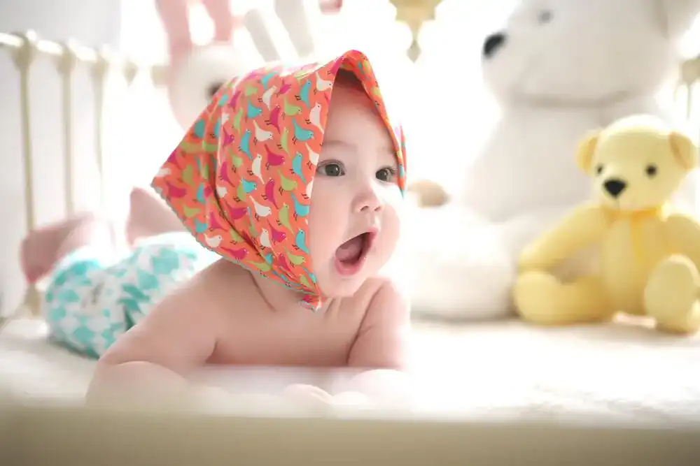 Babynest Babynest