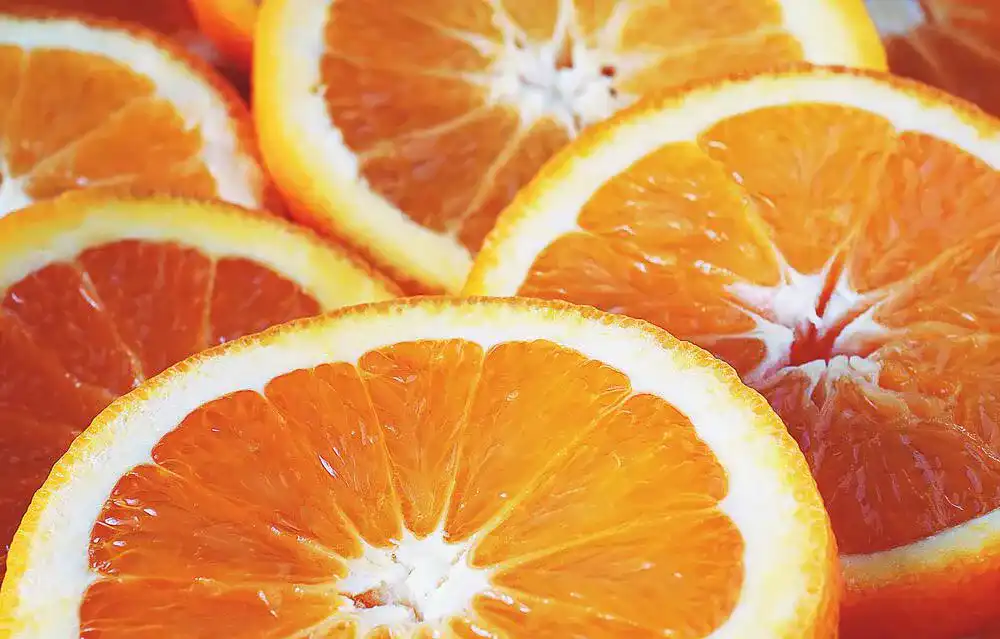 Orangenpresse Orangenpresse