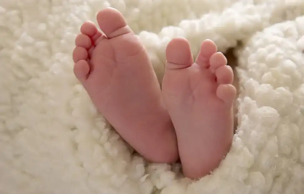 Baby-Lammfell Baby-Lammfell
