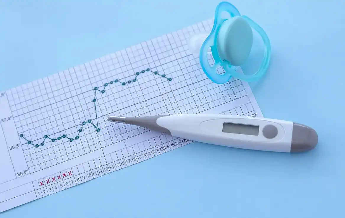 Basalthermometer