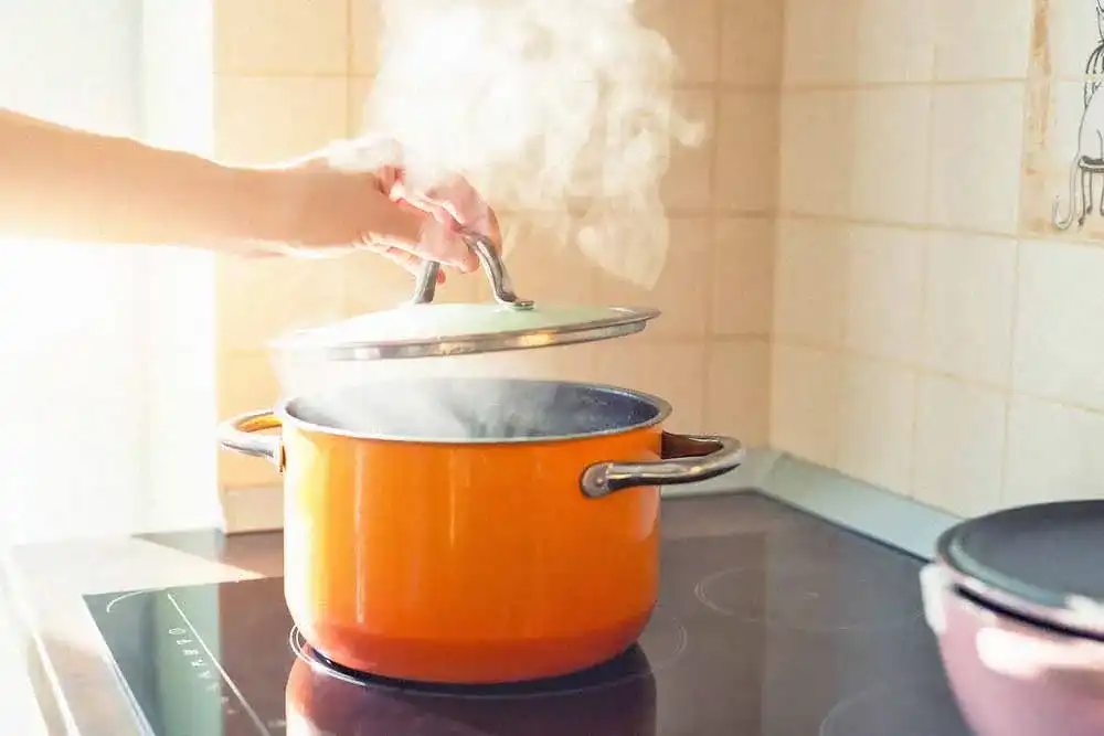 Sous-vide-Stick Sous-vide-Stick