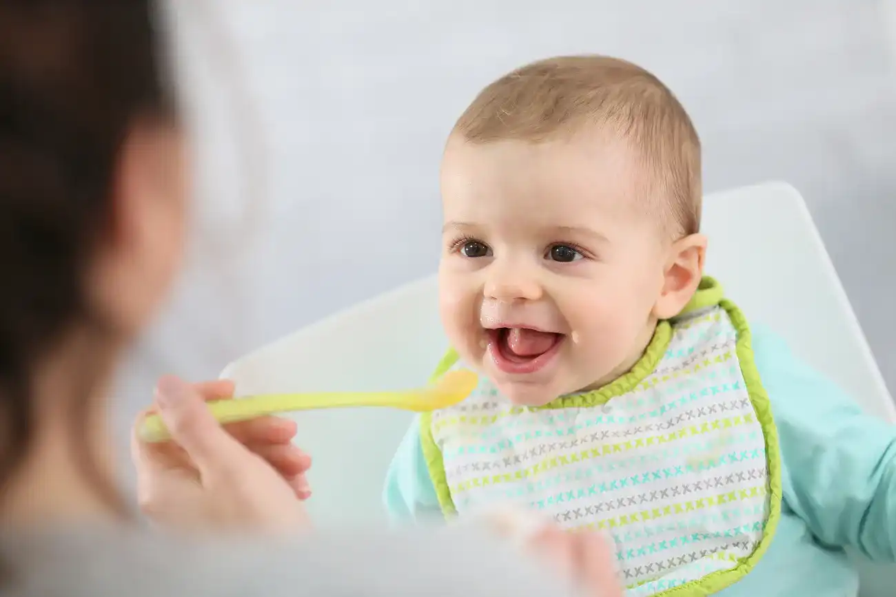 Babynahrungszubereiter Babynahrungszubereiter