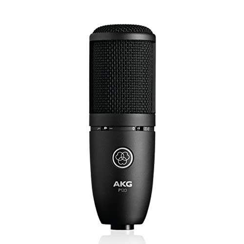 Die beste akg mikrofon akg p120 studio kondensator aufnahmemikrofon Bestsleller kaufen