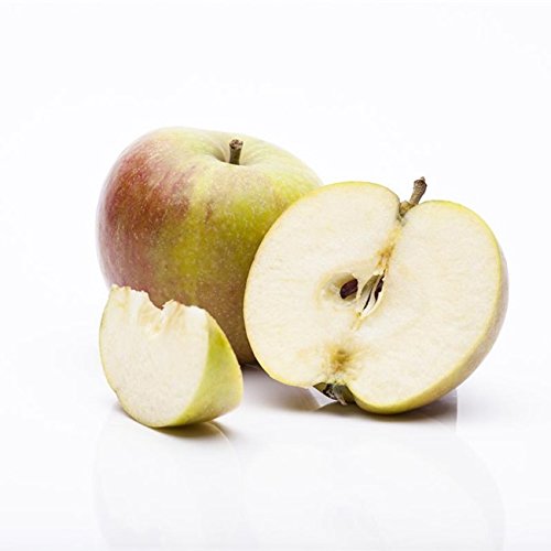 Apfelbaum Pflanzen Für Dich ‘Cox Orange Renette’ 7,5l Topf