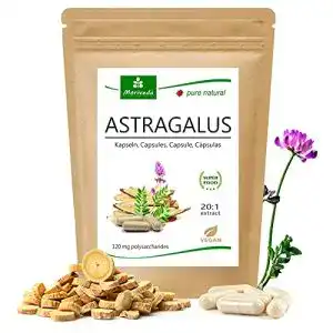 Astragalus-Kapseln MoriVeda Astragalus Kapseln 1600mg, 20:1