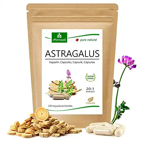 Astragalus-Kapseln MoriVeda Astragalus Kapseln 1600mg, 20:1