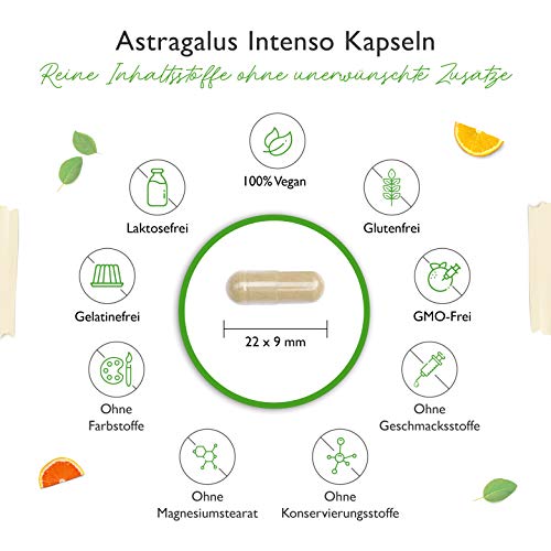 Astragalus-Kapseln Vit4ever, hochdosiert mit 1400 mg Extrakt/Tag