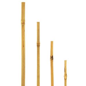 Bambusleiste bellissa, Bambusstäbe als Rankstab, 15 STK, 120 cm