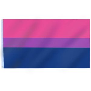 Bi-Flagge TRIXES Bi-Pride Flagge für drinnen und draußen