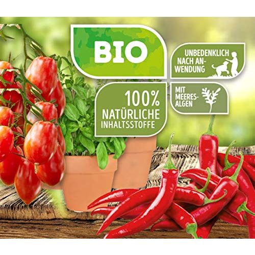 Bio-Dünger flüssig Substral Naturen Bio Tomaten und Kräuter