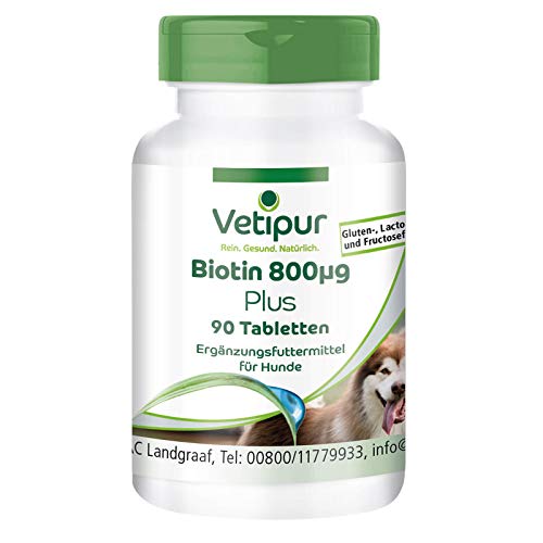 Die beste biotin fuer hunde vetipur biotin tabletten fuer hunde 90 tabletten Bestsleller kaufen