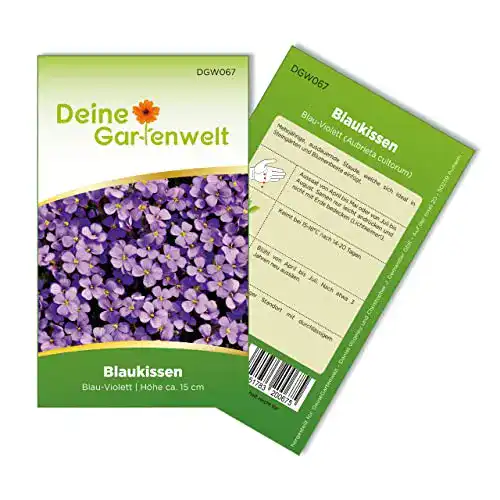 Die beste Blaukissen-Samen Deine Gartenwelt Blaukissen Violett Samen 2026 Test Bestseller Blaukissen-Samen Deine Gartenwelt Blaukissen Violett Samen