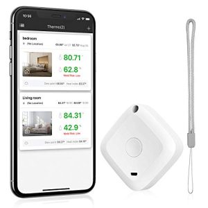 Bluetooth-Thermometer Brifit, mit APP, Datenspeicherung