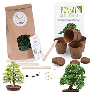 Bonsai-Starter-Kit HappySeed Bonsai Starter Kit inkl. GRATIS eBook