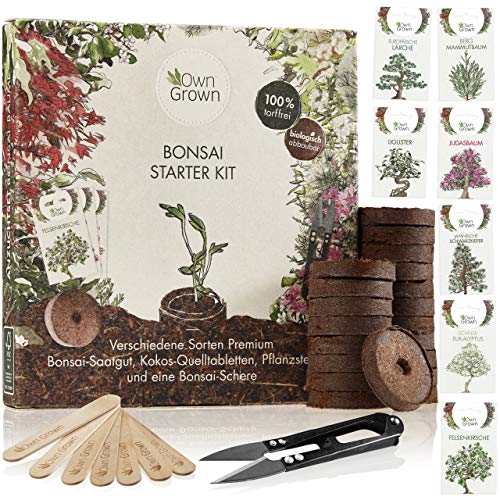 Die beste bonsai starter kit owngrown bonsai starter kit mit 7 sorten Bestsleller kaufen