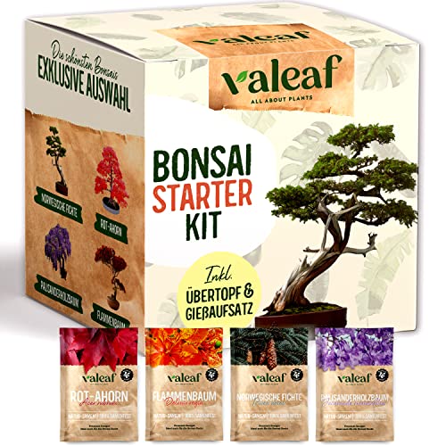 Die beste bonsai starter kit valeaf bonsai starter kit anzuchtset Bestsleller kaufen